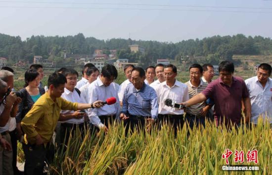 10月10日，农业部组织专家，对由袁隆平院士领衔的第四期中国超级稻亩产1000公斤攻关项目进行了测产验收。测产结果显示，湖南溆浦县横板桥乡红星村超级稻攻关基地，百亩片平均亩产1026.70公斤。这标志着中国超级杂交水稻第四期目标亩产1000公斤攻关获得成功，再创世界纪录。 当天，“杂交水稻之父”袁隆平抵达湖南溆浦县横板桥乡红星村超级稻攻关基地，视察由其领衔主攻的中国超级杂交稻第四期攻关品种“Y两优900”生长情况。图为袁隆平视察超级杂交稻第四期攻关品种“Y两优900”生长情况。唐小晴 摄